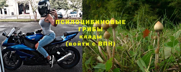 кокс Алексин