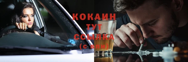 кокс Алексин