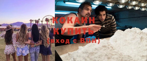кокс Алексин